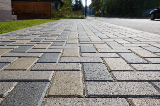 Best Professional Driveway Pavers  in Rosendale, WI